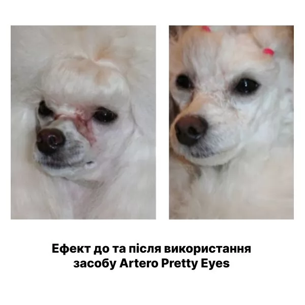 Технические характеристики Средство по уходу за глазами животных Artero Pretty Eyes 250 мл.. - 5